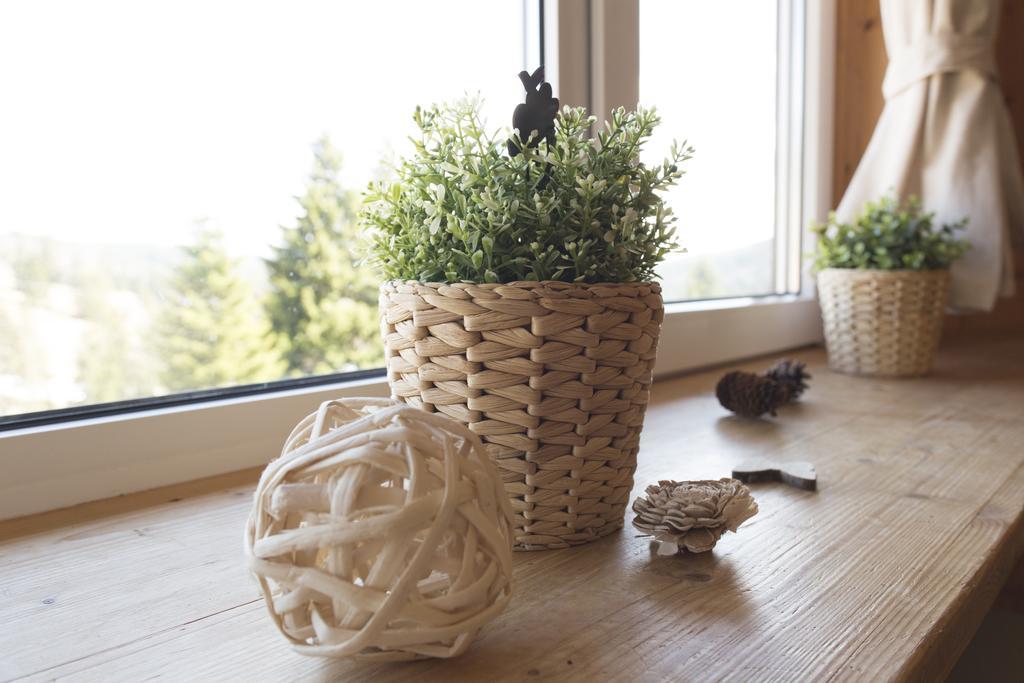 Kuckucksnester Feldberg Feldberg  Ngoại thất bức ảnh